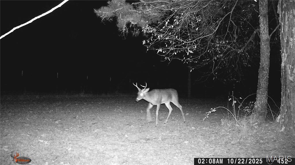 Photo 70 - Farm for sale – 205  County Road 6550   Salem, MO