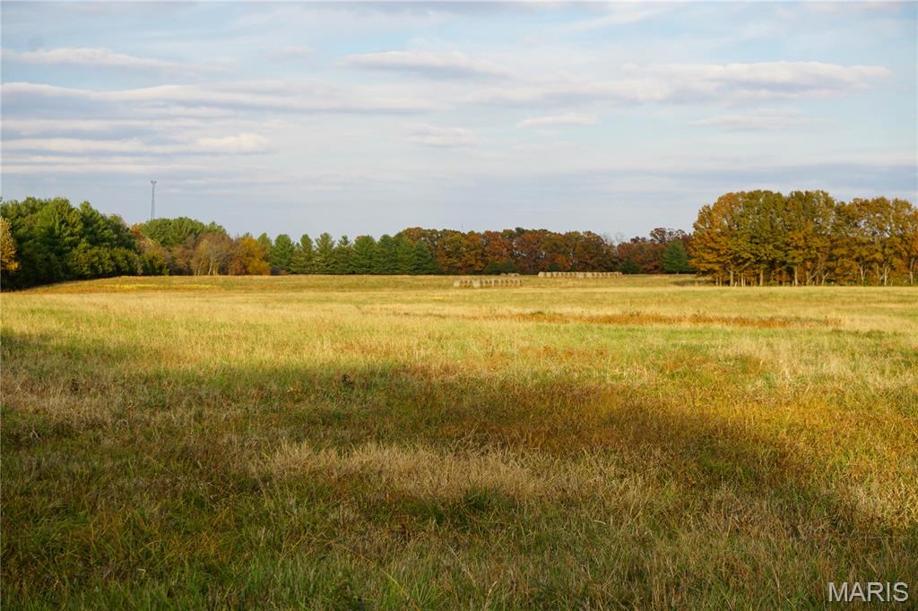 Photo 6 - Land for sale – TBD  State Route KK   St James, MO