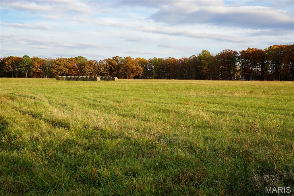 Photo 3 - Land for sale – TBD  State Route KK   St James, MO