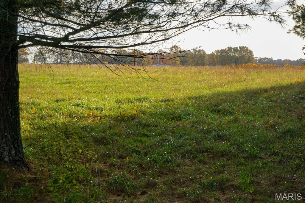 Photo 4 - Land for sale – TBD  State Route KK   St James, MO