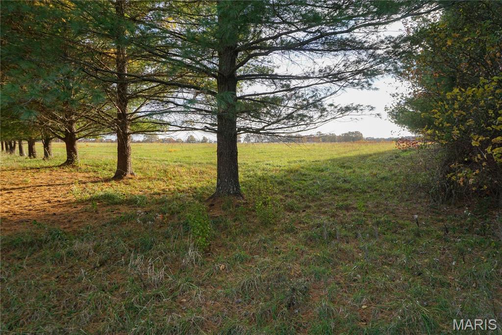 Photo 5 - Land for sale – TBD  State Route KK   St James, MO