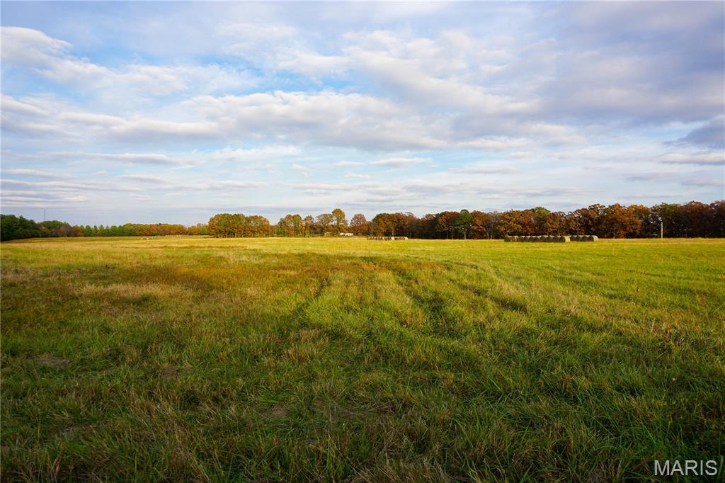 Photo 2 - Land for sale – TBD  State Route KK   St James, MO