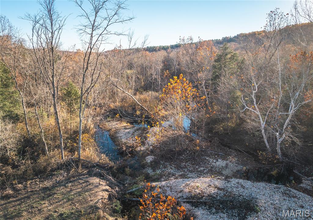 Photo 31 - Land for sale – 3385  County Road 5615   Bunker, MO