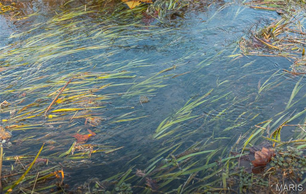 Photo 4 - Land for sale – 3385  County Road 5615   Bunker, MO