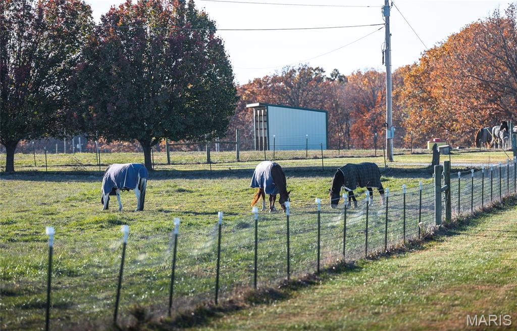 Photo 11 - Farm for sale – 17265  County Road 8280   Rolla, MO