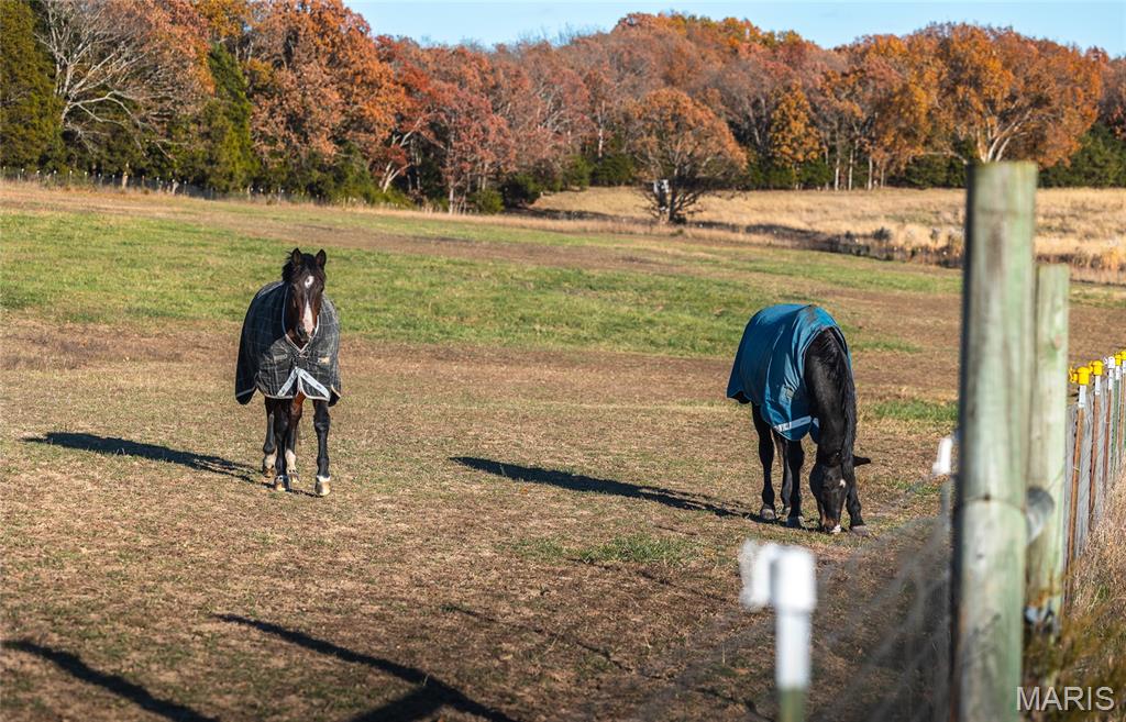 Photo 48 - Farm for sale – 17265  County Road 8280   Rolla, MO