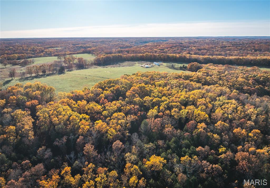 Photo 42 - Farm for sale – 17265  County Road 8280   Rolla, MO