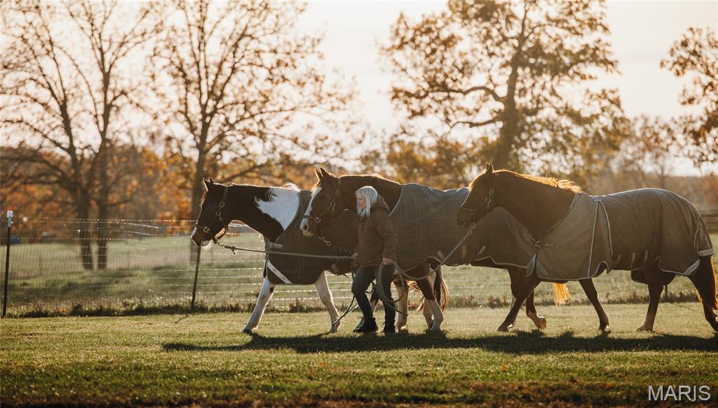 Photo 34 - Farm for sale – 17265  County Road 8280   Rolla, MO