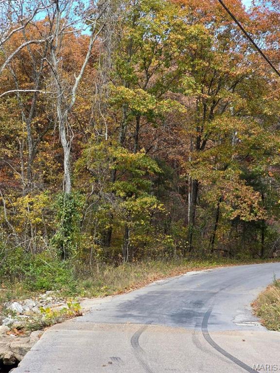 Farm/Ranch/Land for sale – 000  Mineral Drive Lot 1   Houston, MO