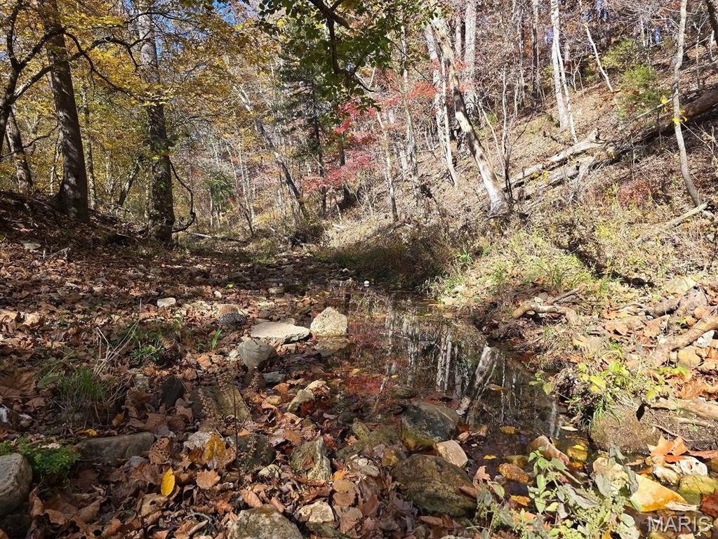 Farm/Ranch/Land for sale – 000  Mineral Drive Lot 2   Houston, MO