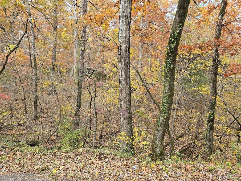 Farm/Ranch/Land for sale – 000  Mineral Drive Lot 3   Houston, MO