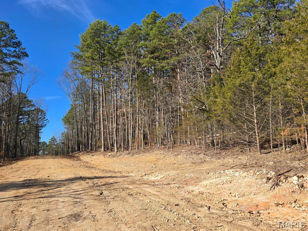 Farm/Ranch/Land for sale – 000  Mineral Drive Lot 4   Houston, MO