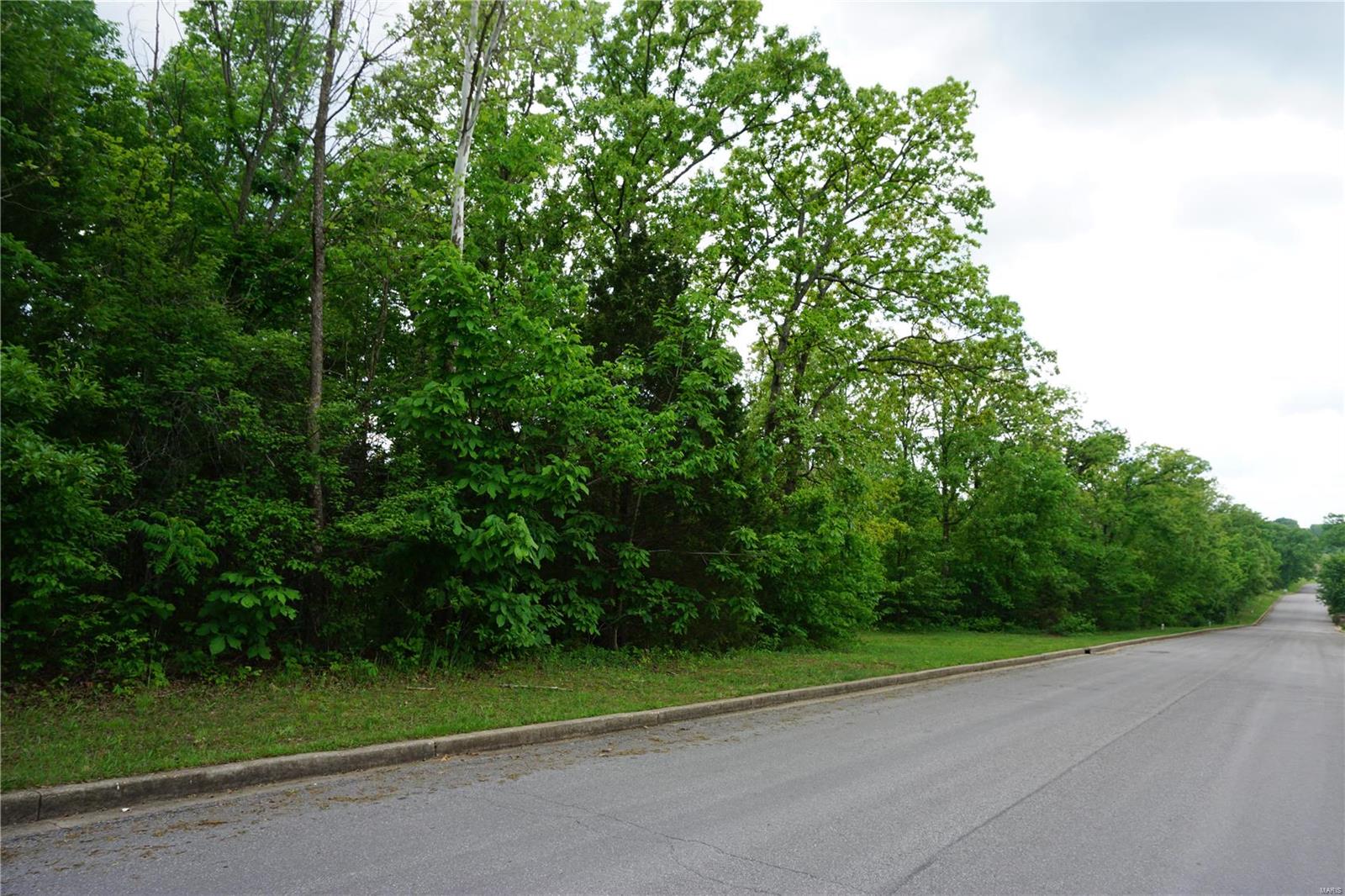 Land for sale – 0  Columbia Avenue Lot 22   Rolla, MO