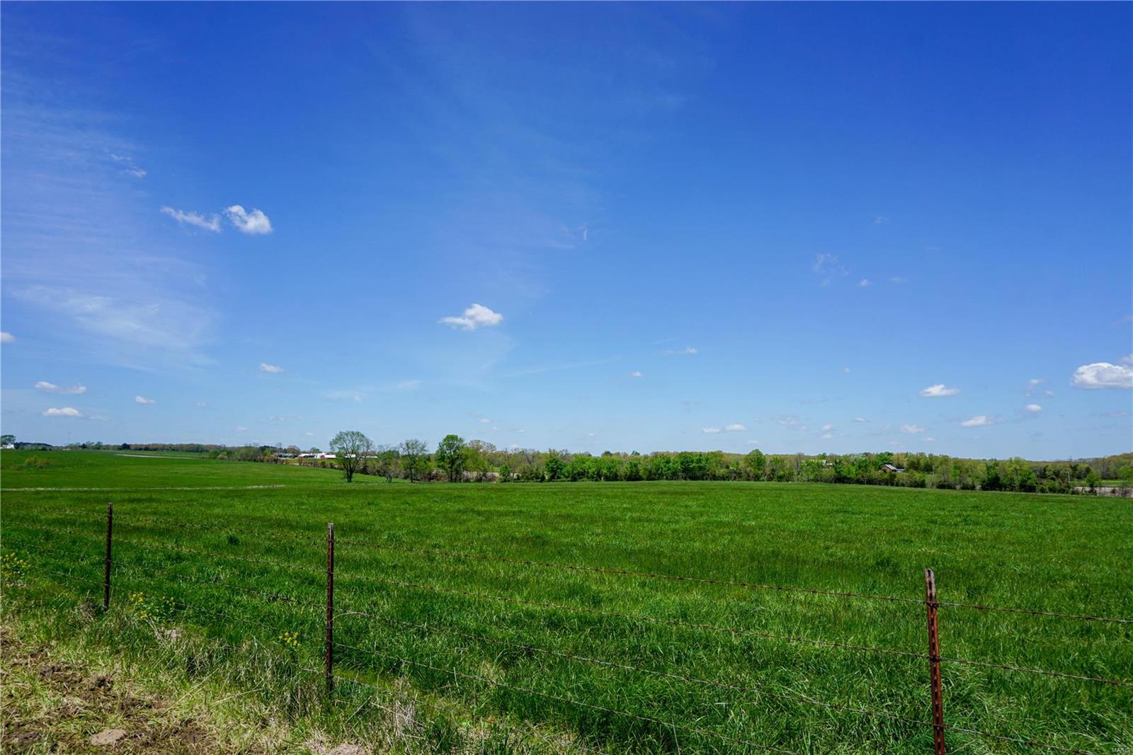 Photo 18 - Farm for sale – 0  CR 3120   St James, MO