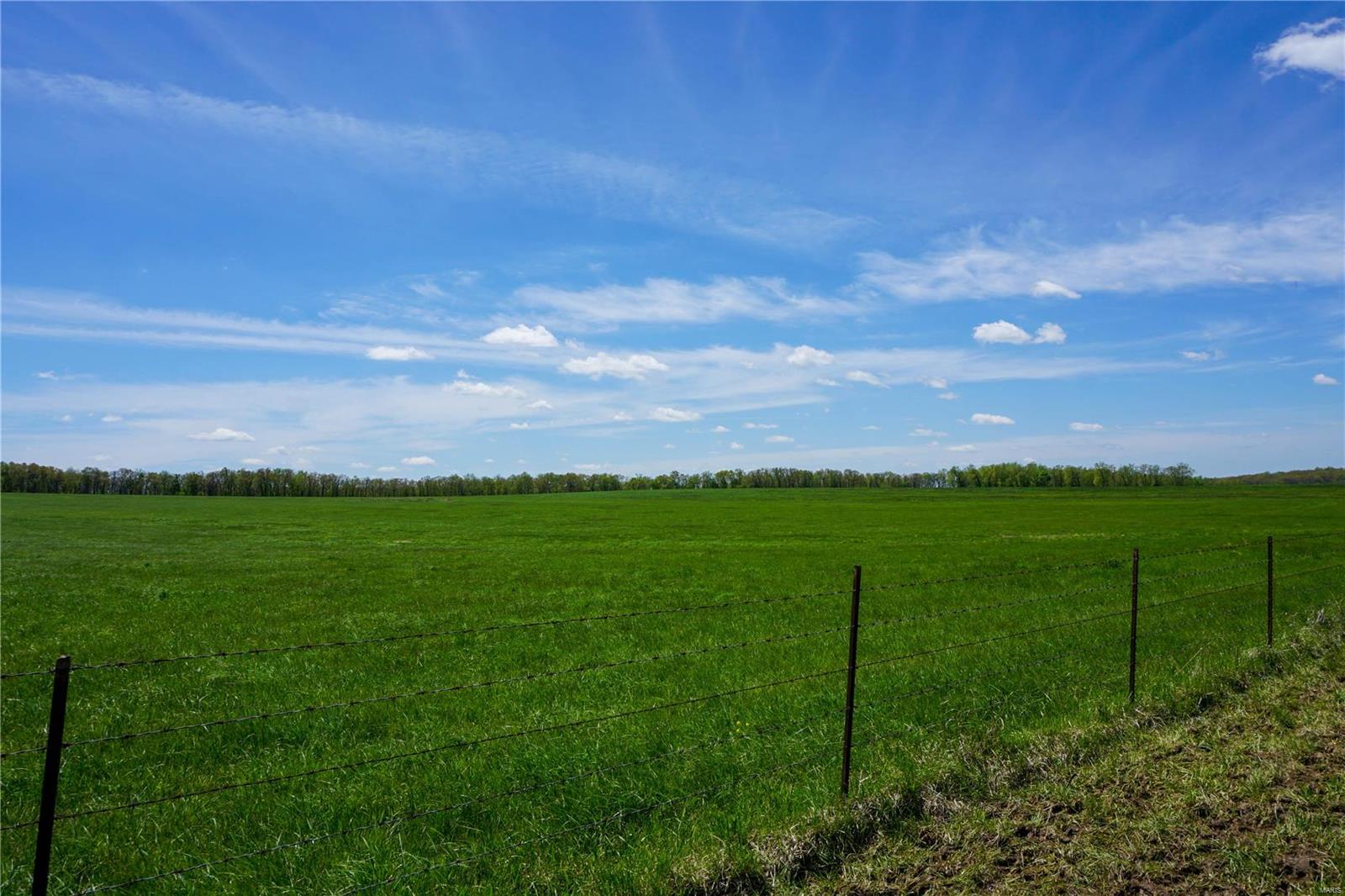 Photo 15 - Farm for sale – 0  CR 3120   St James, MO