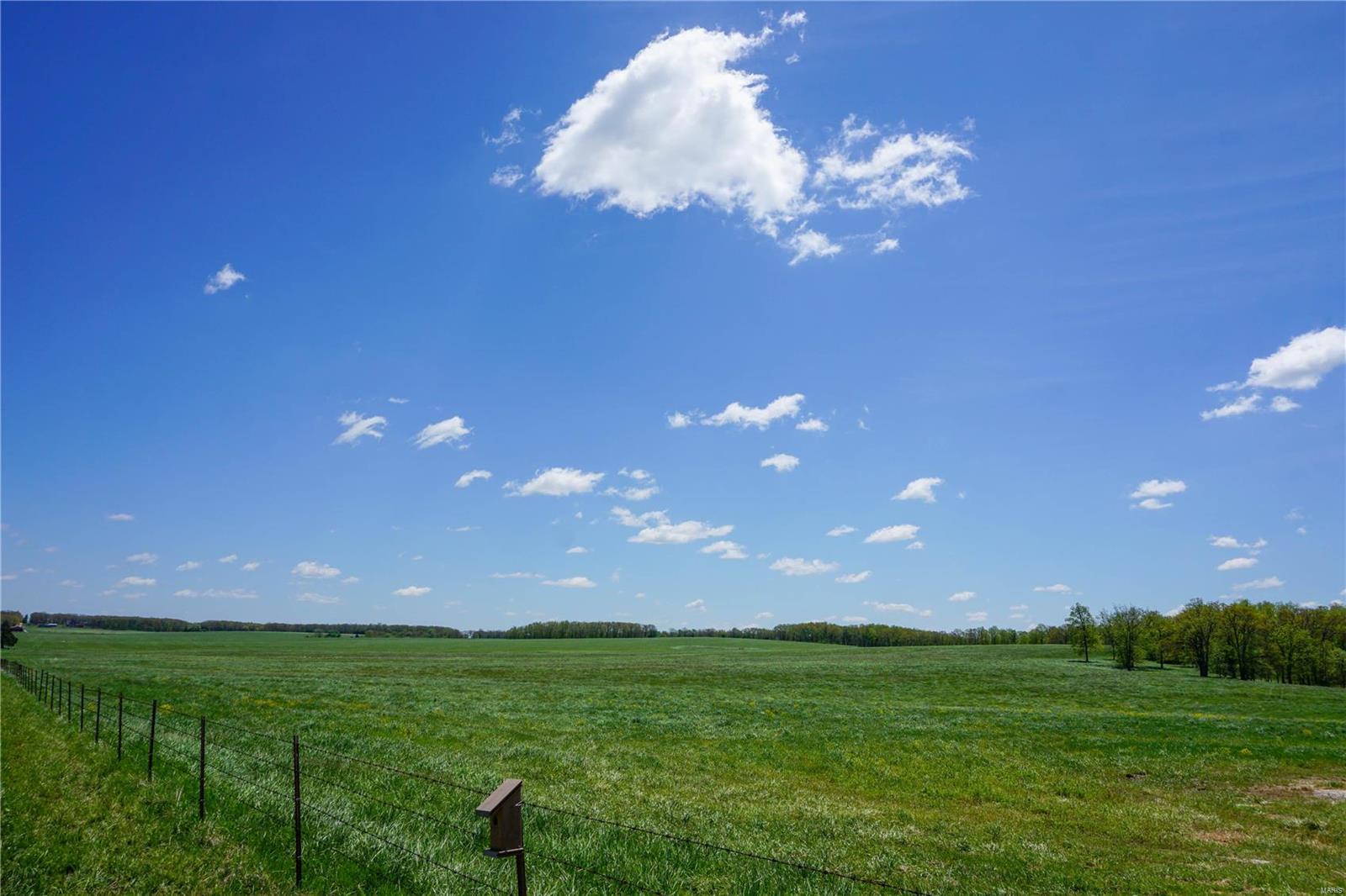 Photo 13 - Farm for sale – 0  CR 3120   St James, MO