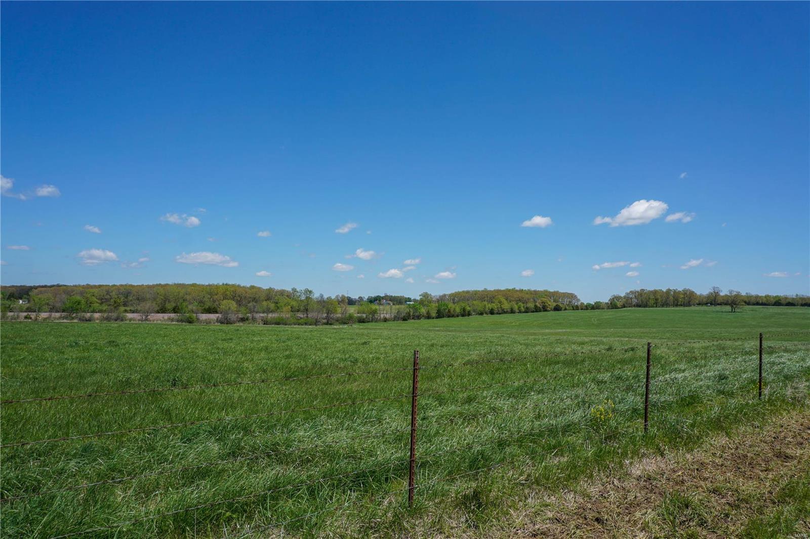 Photo 15 - Farm for sale – 0  CR 3290   St James, MO