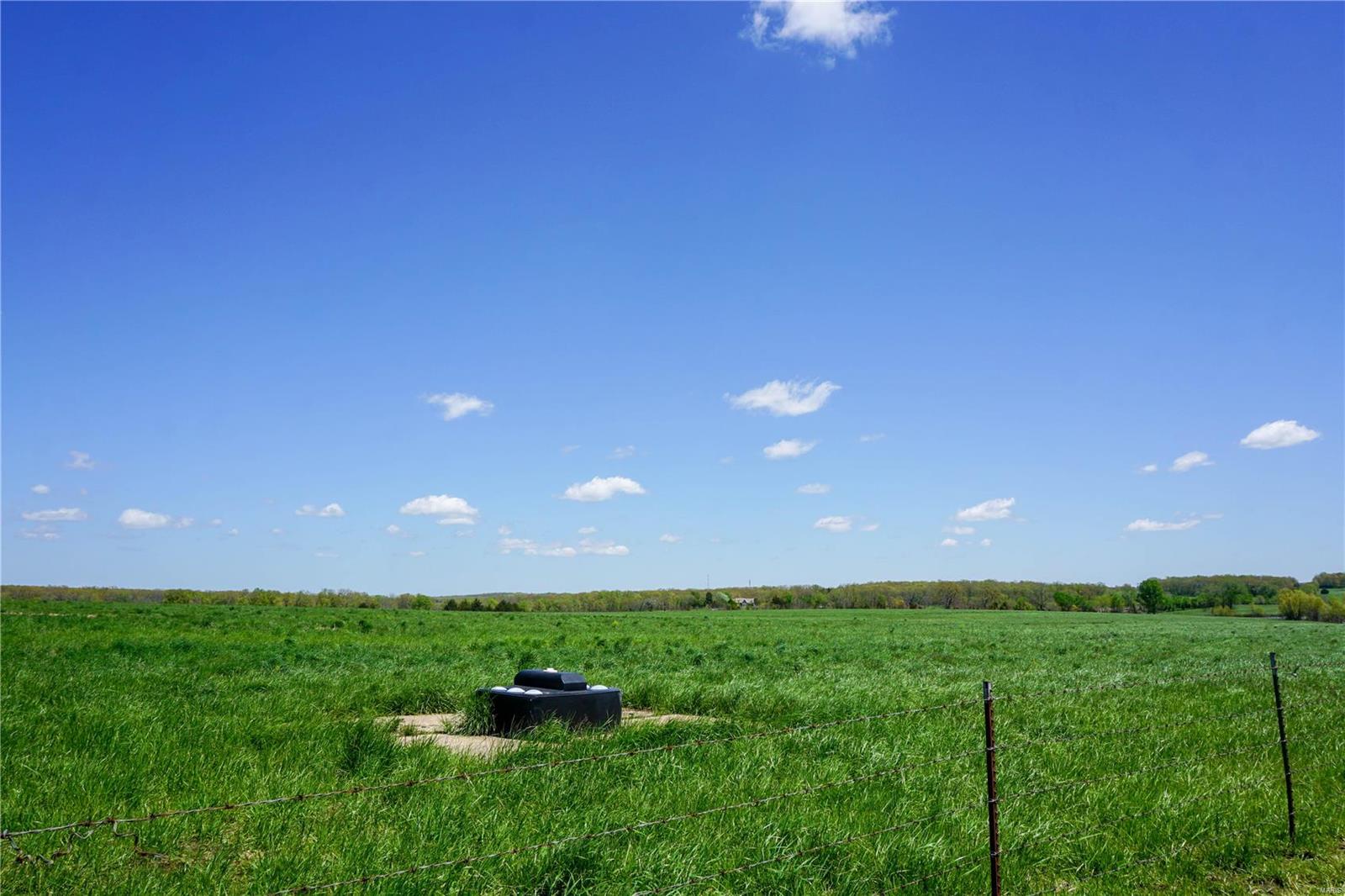 Photo 10 - Farm for sale – 0  CR 3290   St James, MO
