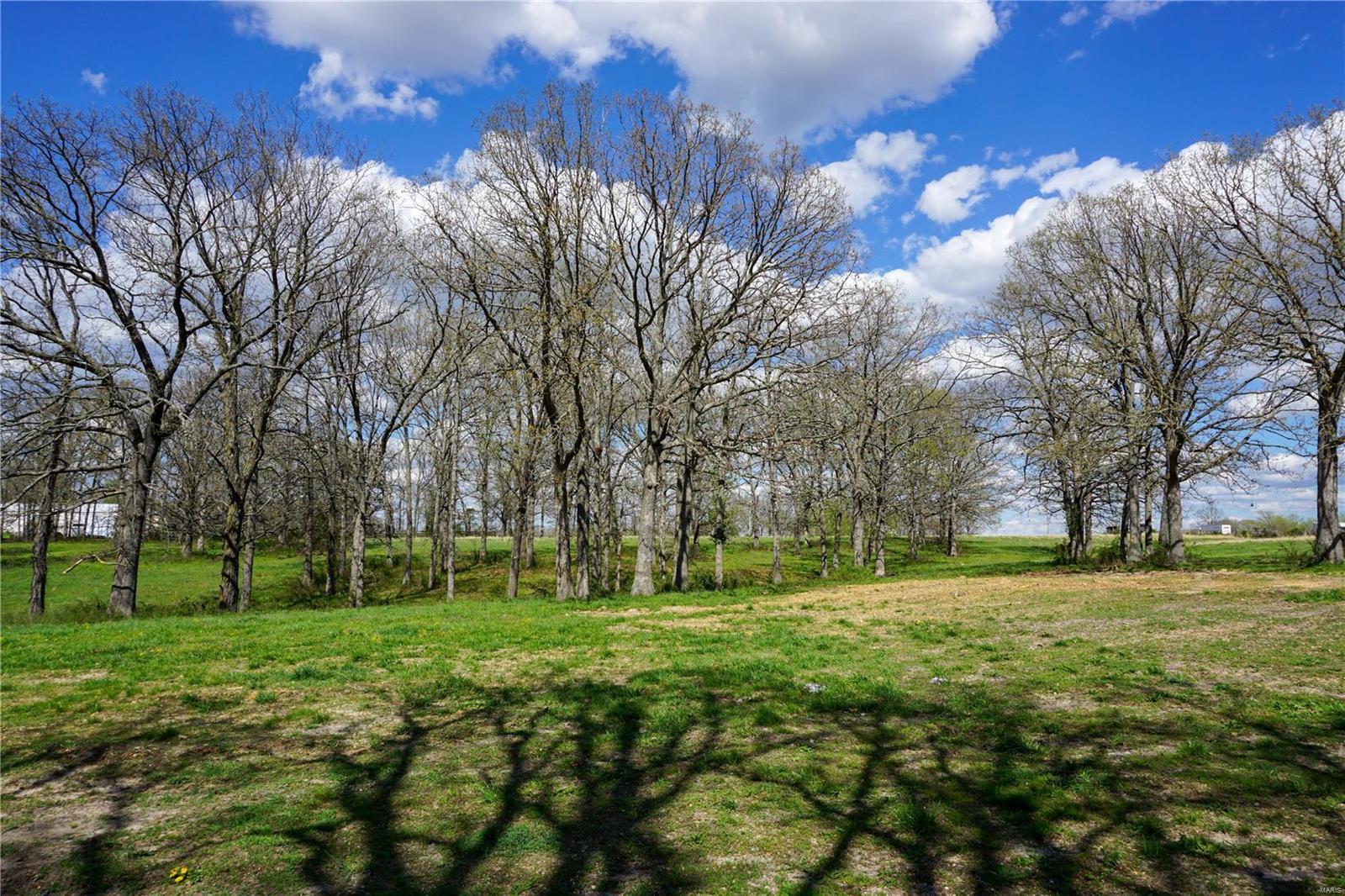 Photo 11 - Farm for sale – 18626  CR 1000   St James, MO
