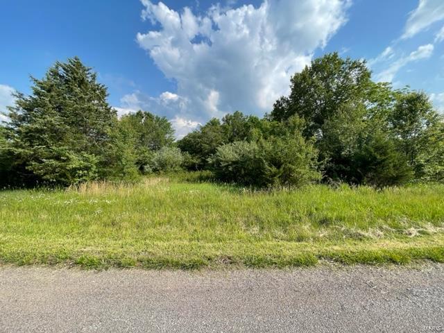 Photo 2 - Land for sale – 0  Napa Place  Rolla, MO
