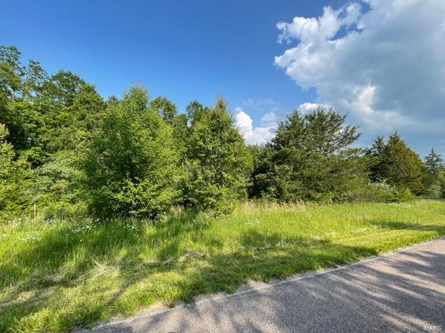 Photo 3 - Land for sale – 0  Napa Place  Rolla, MO