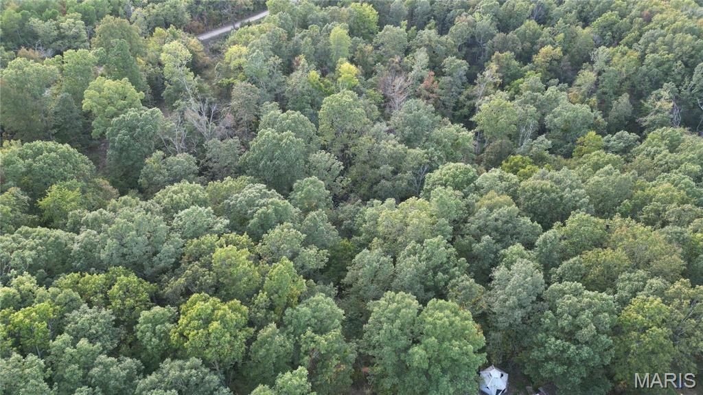 Photo 8 - Farm for sale – 667  County Road 4060   Salem, MO