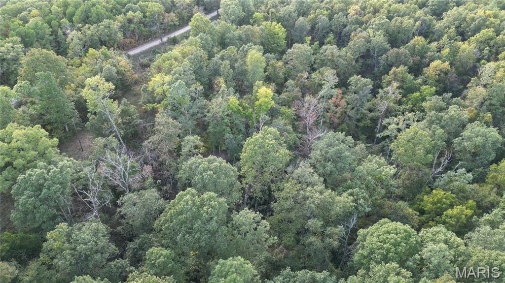 Photo 9 - Farm for sale – 667  County Road 4060   Salem, MO