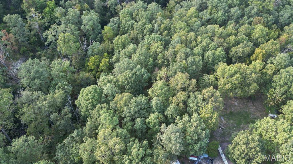 Photo 10 - Farm for sale – 667  County Road 4060   Salem, MO