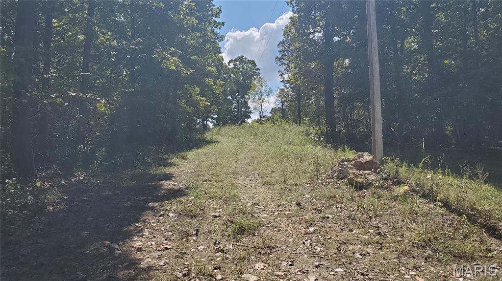 Photo 21 - Farm for sale – 667  County Road 4060   Salem, MO