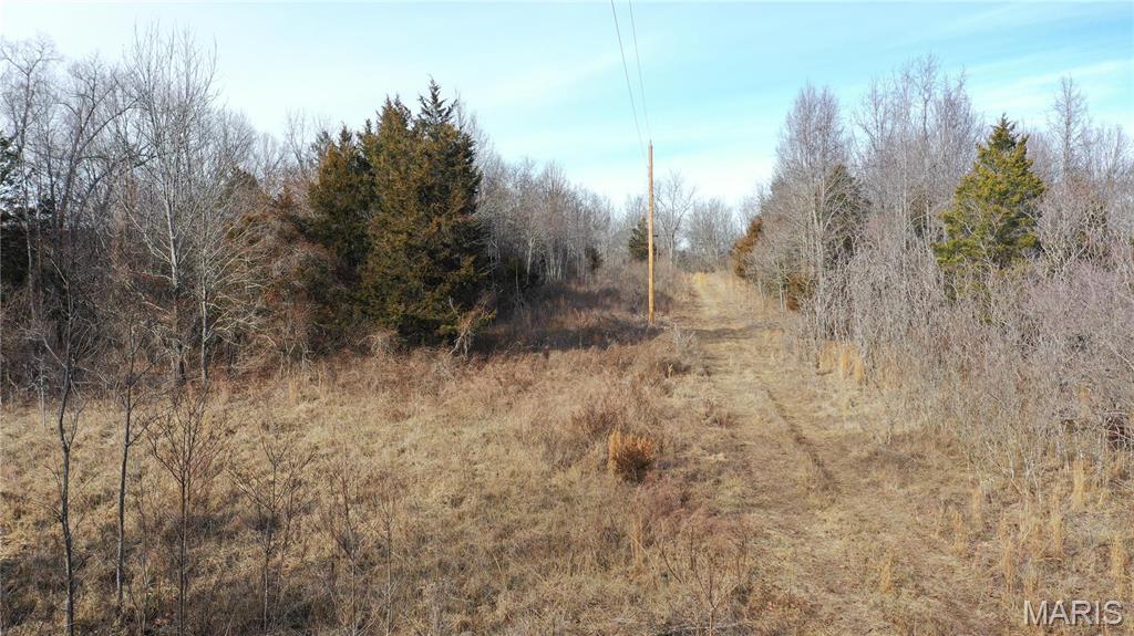 Photo 18 - Residential for sale – 0  TBD CR  6505   Salem, MO