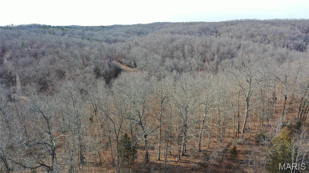 Photo 3 - Residential for sale – 0  TBD CR  6505   Salem, MO