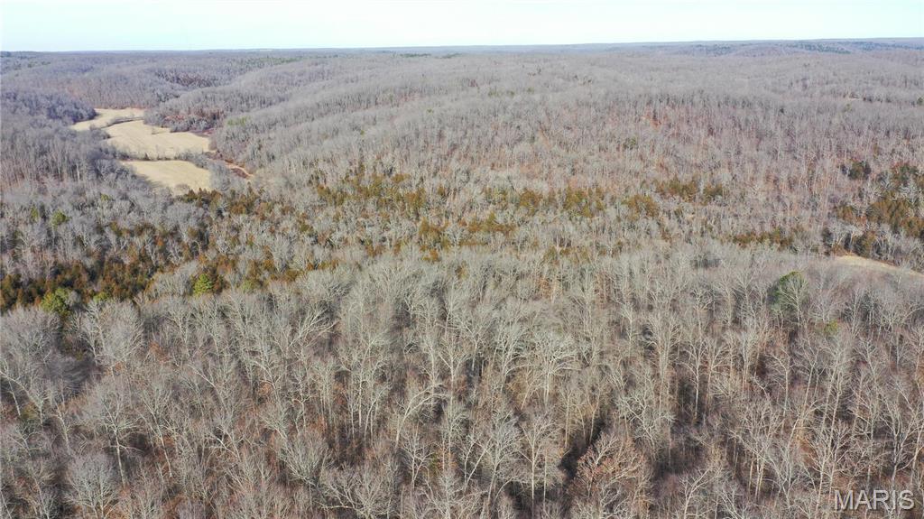 Photo 4 - Residential for sale – 0  TBD CR  6505   Salem, MO