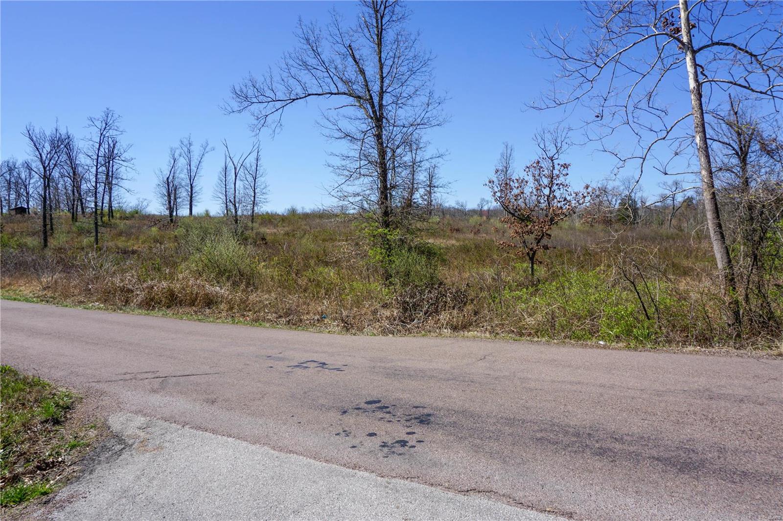 Photo 4 - Farm for sale – 0  CR 8170   Newburg, MO