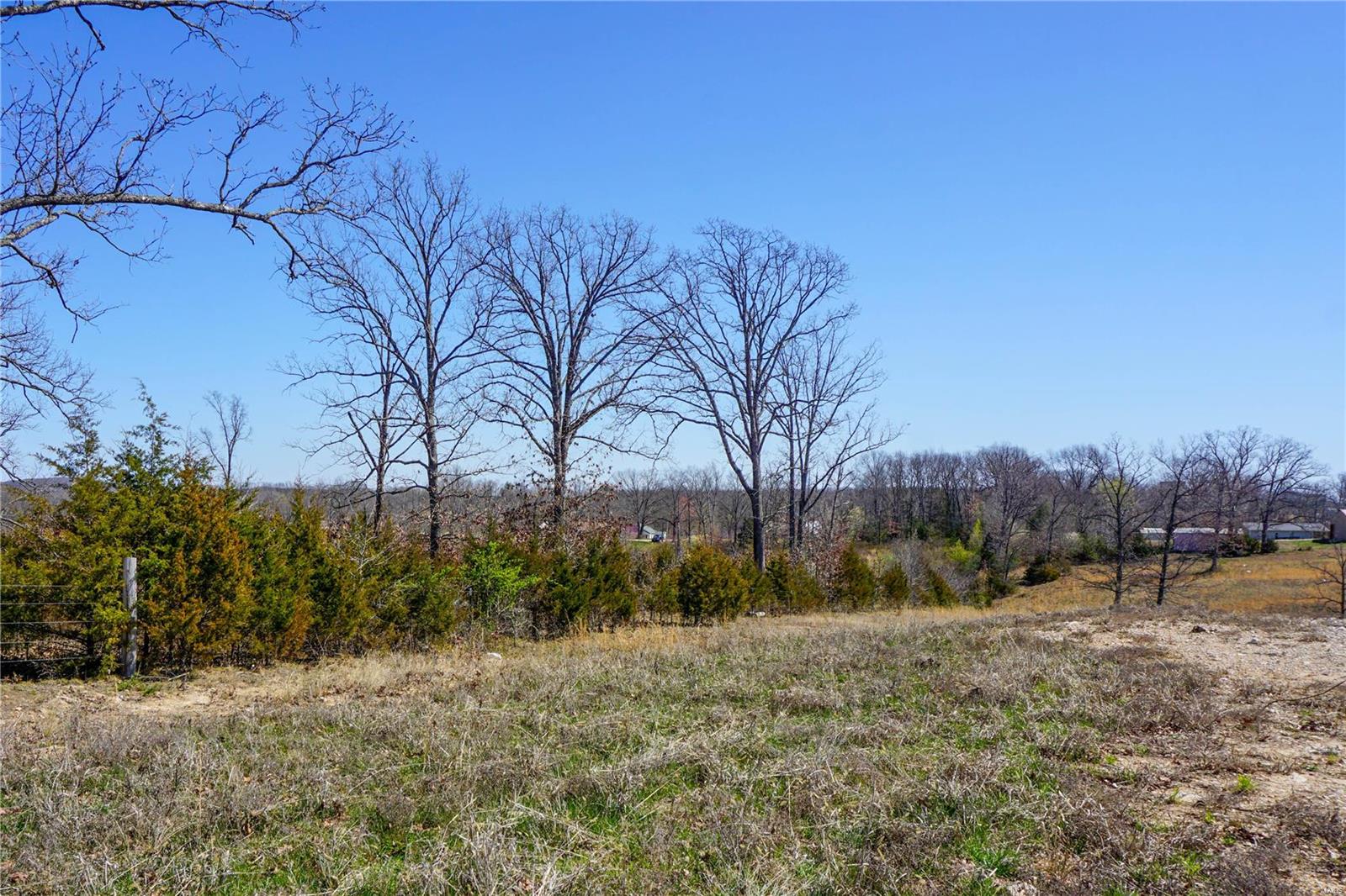 Photo 2 - Farm for sale – 0  CR 8170   Newburg, MO