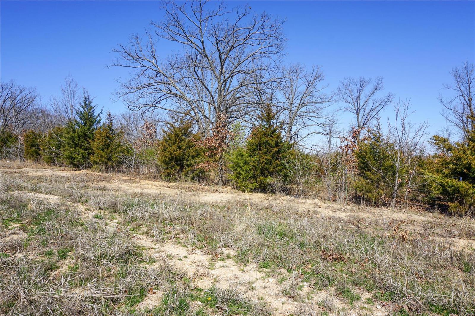 Farm for sale – 0  CR 8170   Newburg, MO