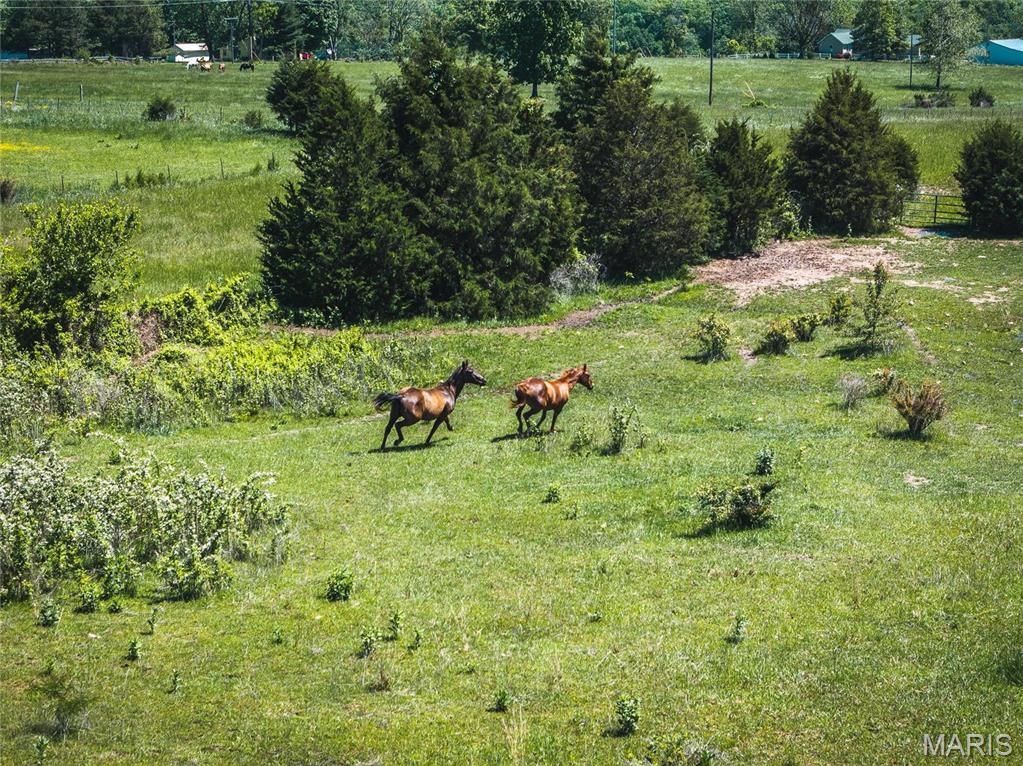 Photo 9 - Farm for sale – 0  TBD Old Route 66   St James, MO