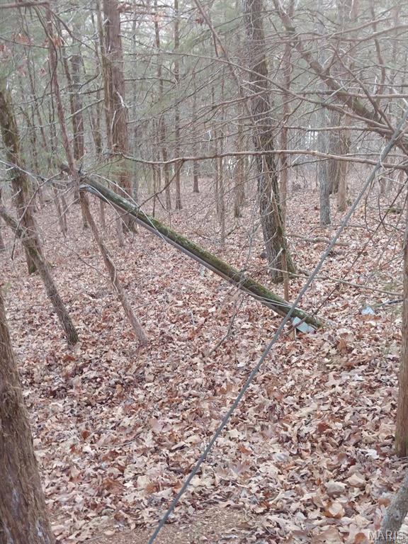 Farm/Ranch/Land for sale – 0  Thurman Lake Road   Cuba, MO