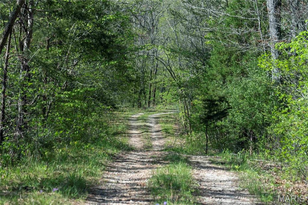 Photo 13 - Farm for sale – 0  Highway Z   Vienna, MO