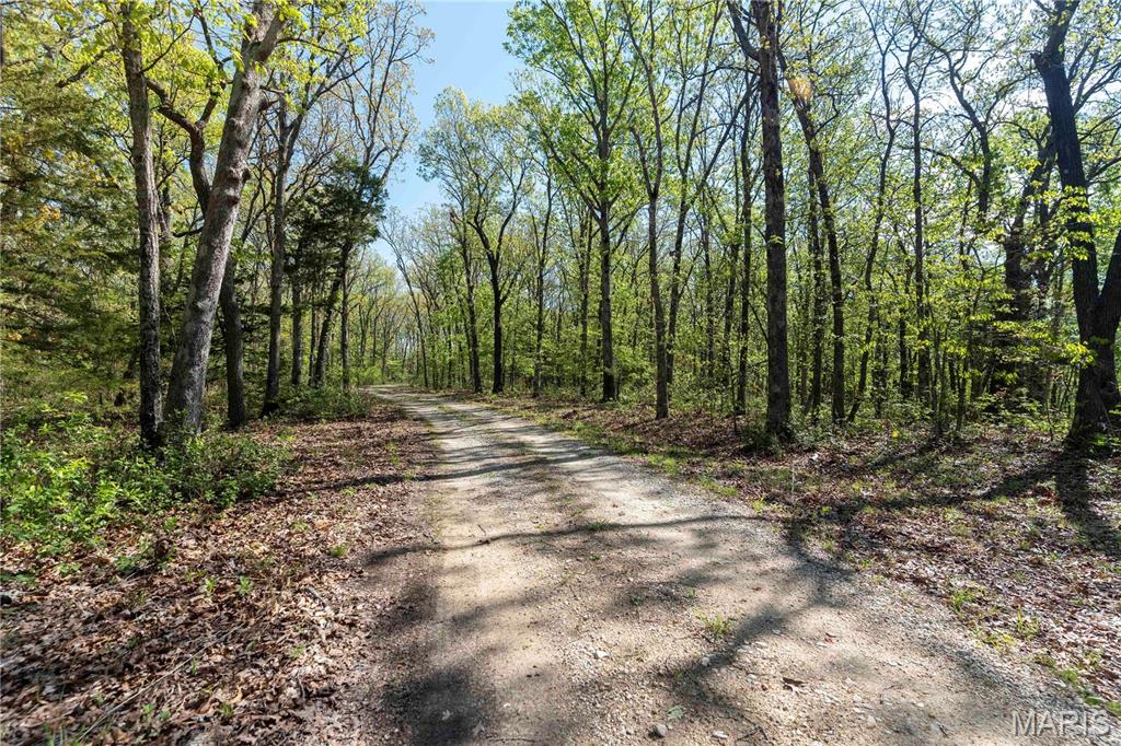 Photo 5 - Farm for sale – 0  Highway Z   Vienna, MO