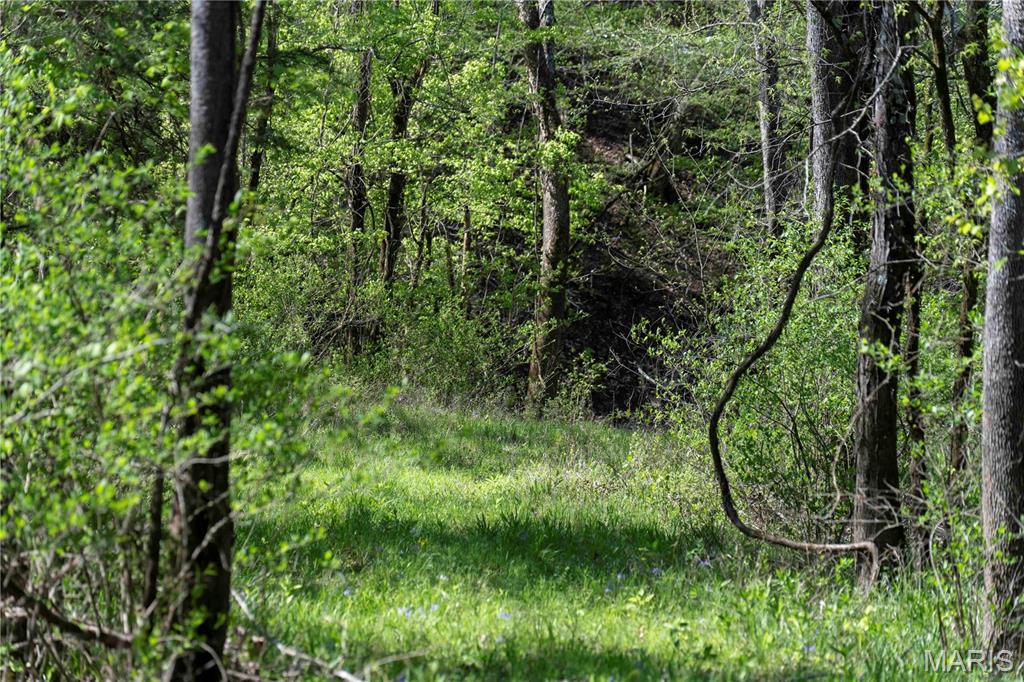 Photo 17 - Farm for sale – 0  Highway Z   Vienna, MO