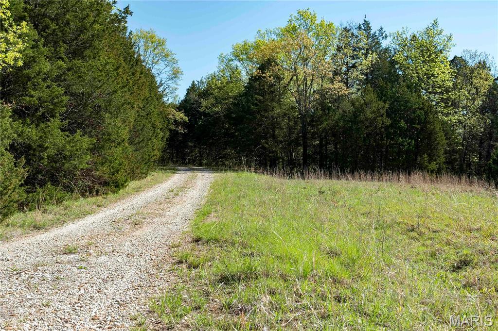 Photo 9 - Farm for sale – 0  Highway Z   Vienna, MO