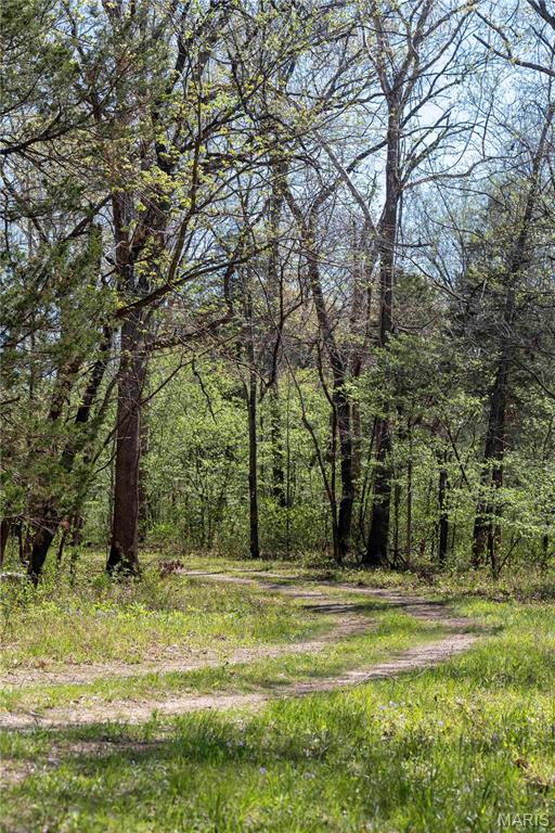 Photo 4 - Farm for sale – 0  Highway Z   Vienna, MO