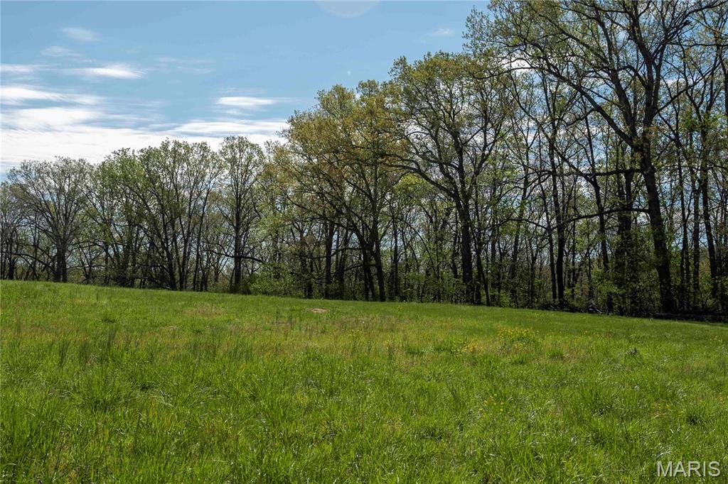 Photo 10 - Farm for sale – 0  Highway Z   Vienna, MO