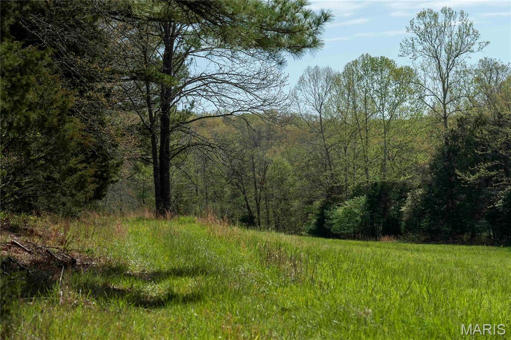 Photo 11 - Farm for sale – 0  Highway Z   Vienna, MO