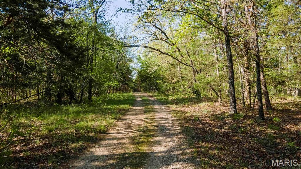 Photo 3 - Farm for sale – 0  Highway Z   Vienna, MO