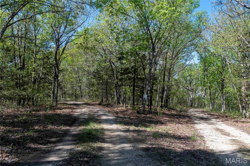 Photo 7 - Farm for sale – 0  Highway Z   Vienna, MO