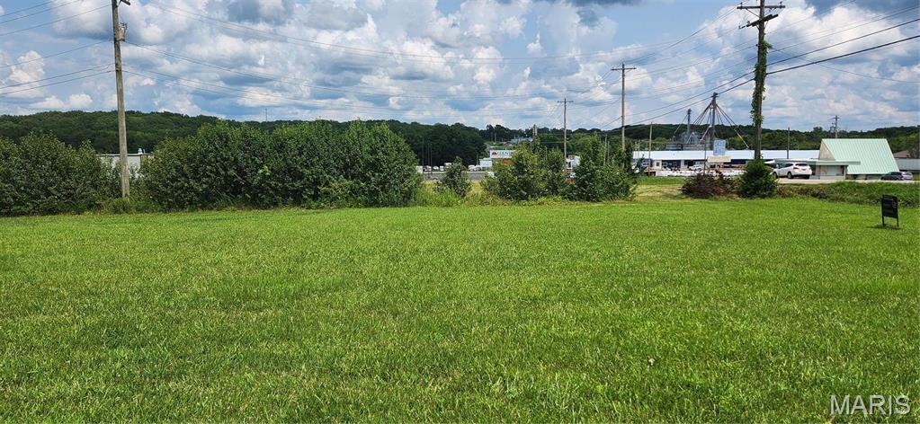 Photo 2 - Land for sale – 0 E Scenic Rivers Blvd   Salem, MO