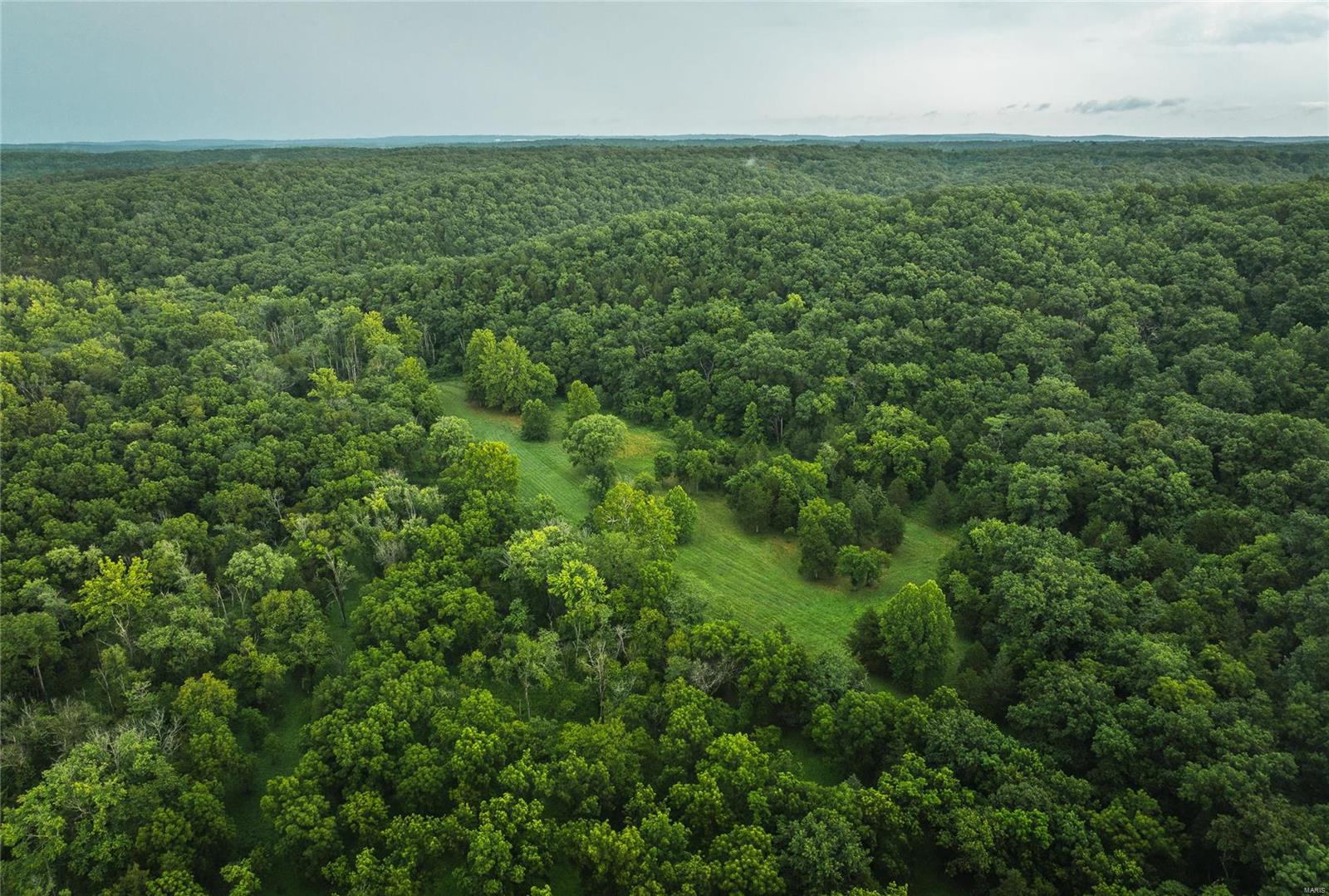 Photo 7 - Farm for sale – 0  County Road 7250   Newburg, MO