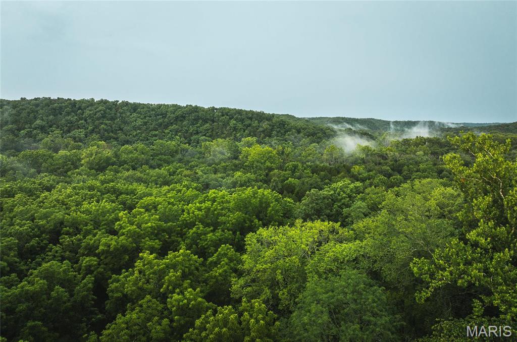 Photo 9 - Farm for sale – 0  County Road 7250   Newburg, MO