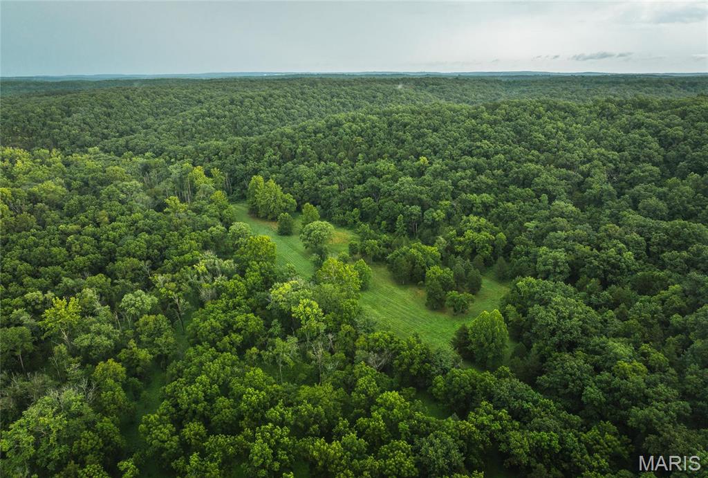 Photo 7 - Farm for sale – 0  County Road 7250   Newburg, MO